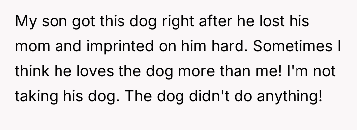 My son got this dog right after he lost his...