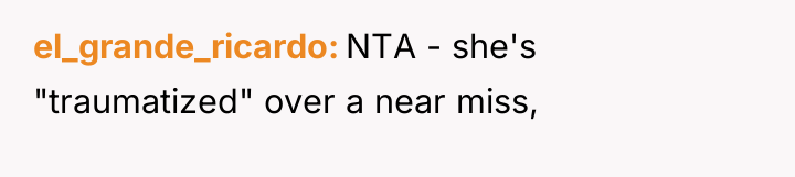 el_grande_ricardo NTA - she's "traumatized" over a near miss,