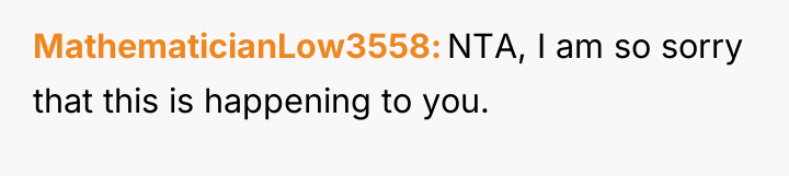 MathematicianLow3558 NTA, I am so sorry that this is happening...