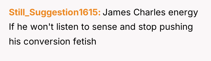 Still_Suggestion1615 James Charles energy If he won't listen to sense...