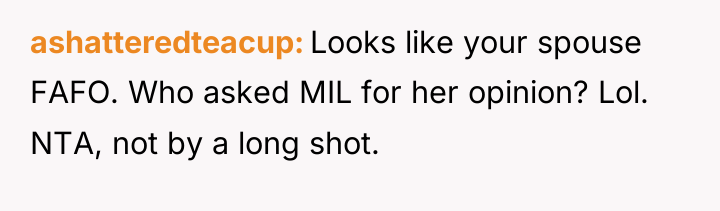 ashatteredteacup Looks like your spouse FAFO. Who asked MIL for...
