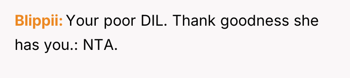 Blippii Your poor DIL. Thank goodness she has you.: NTA.