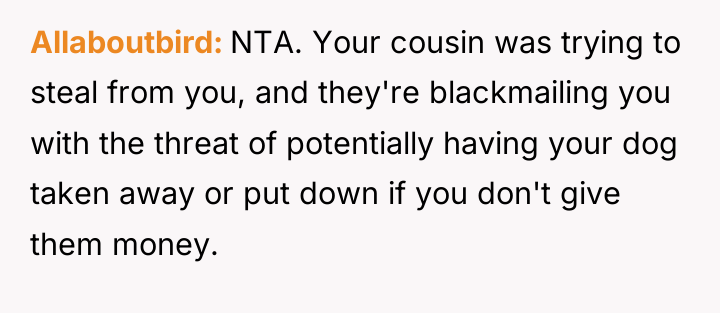 Allaboutbird NTA. Your cousin was trying to steal from you,...