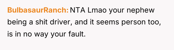 BulbasaurRanch NTA Lmao your nephew being a shit driver, and...