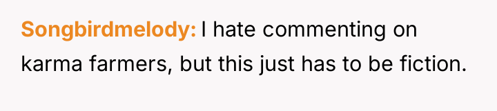 Songbirdmelody I hate commenting on karma farmers, but this just...