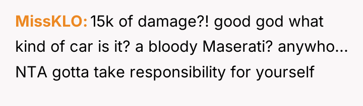 MissKLO 15k of damage?! good god what kind of car...