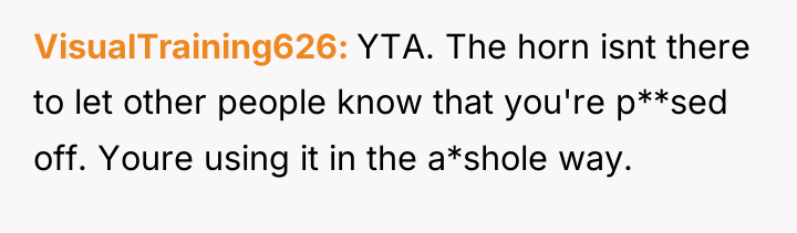 VisualTraining626 YTA. The horn isnt there to let other people...