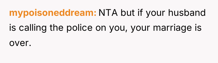 mypoisoneddream NTA but if your husband is calling the police...
