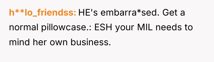h**lo_friendss HE's embarra*sed. Get a normal pillowcase.: ESH your MIL...