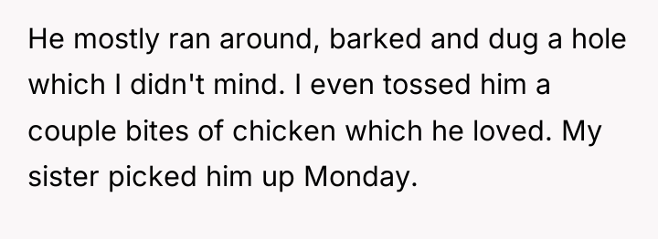 He mostly ran around, barked and dug a hole which...