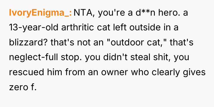IvoryEnigma_ NTA, you're a d**n hero. a 13-year-old arthritic cat...