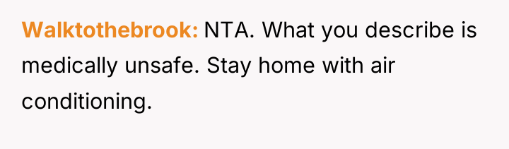 Walktothebrook NTA. What you describe is medically unsafe. Stay home...