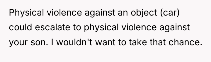 Physical violence against an object (car) could escalate to physical...