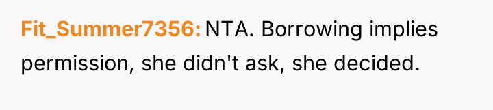 Fit_Summer7356 NTA. Borrowing implies permission, she didn't ask, she decided.
