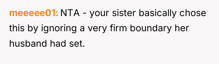 meeeee01 NTA - your sister basically chose this by ignoring...
