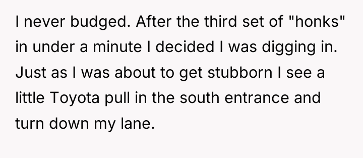 I never budged. After the third set of "honks" in...