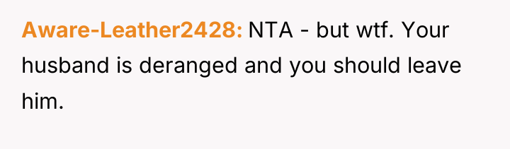 Aware-Leather2428 NTA - but wtf. Your husband is deranged and...