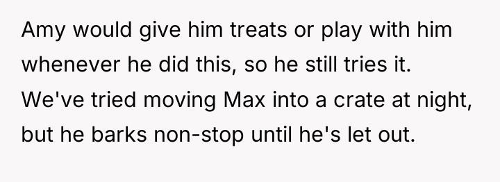 Amy would give him treats or play with him whenever...