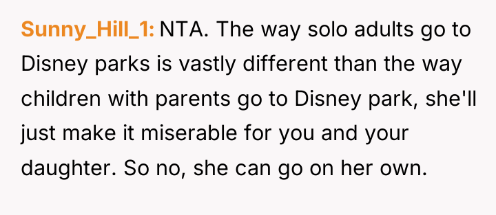 Sunny_Hill_1 NTA. The way solo adults go to Disney parks...