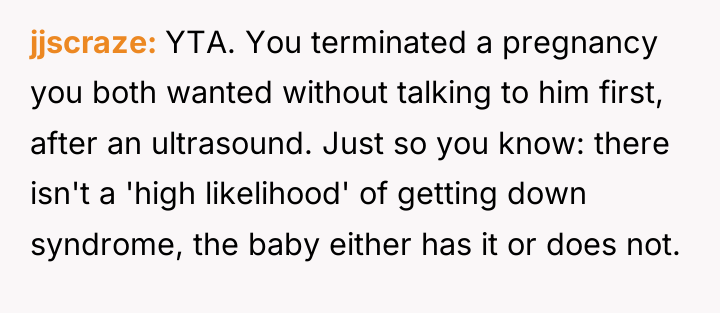 jjscraze YTA. You terminated a pregnancy you both wanted without...