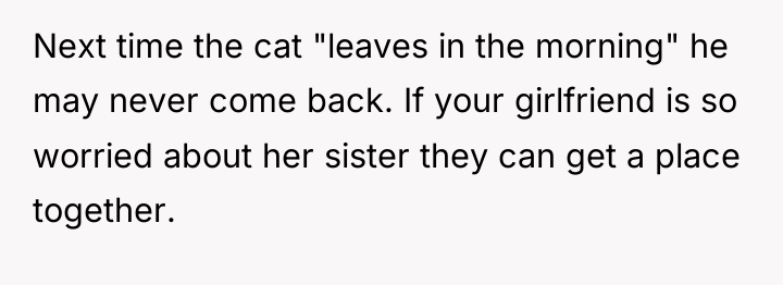Next time the cat "leaves in the morning" he may...