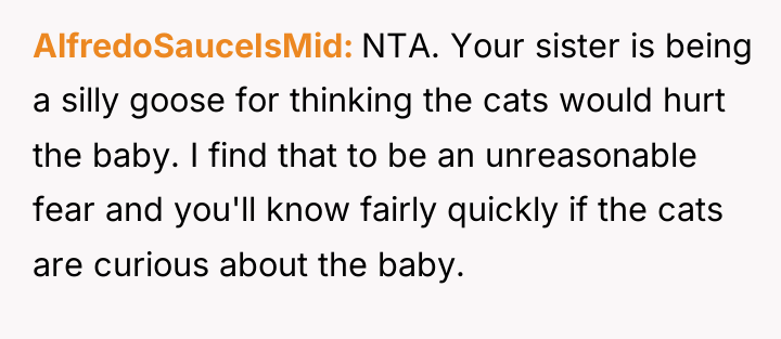 AlfredoSauceIsMid NTA. Your sister is being a silly goose for...