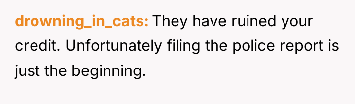 drowning_in_cats They have ruined your credit. Unfortunately filing the police...