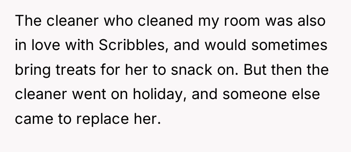 The cleaner who cleaned my room was also in love...