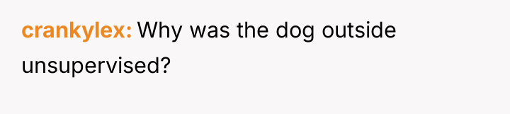 crankylex Why was the dog outside unsupervised?