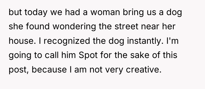 but today we had a woman bring us a dog...