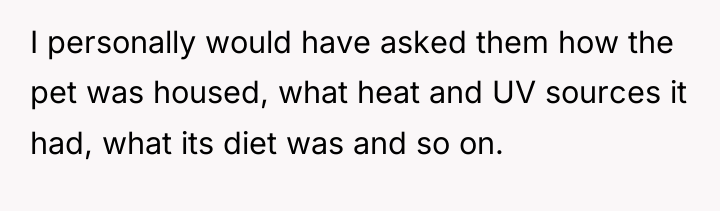 I personally would have asked them how the pet was...