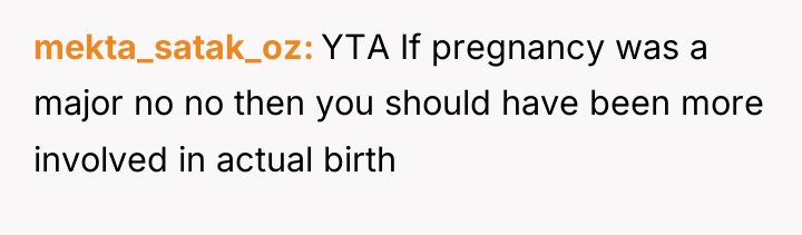 mekta_satak_oz YTA If pregnancy was a major no no then...