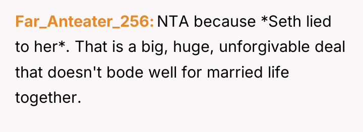 Far_Anteater_256 NTA because *Seth lied to her*. That is a...