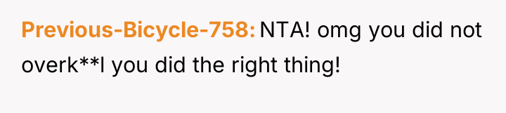 Previous-Bicycle-758 NTA! omg you did not overk**l you did the...