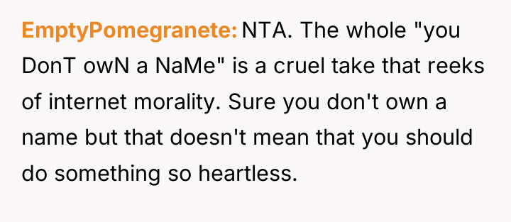 EmptyPomegranete NTA. The whole "you DonT owN a NaMe" is...