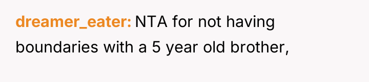 dreamer_eater NTA for not having boundaries with a 5 year...