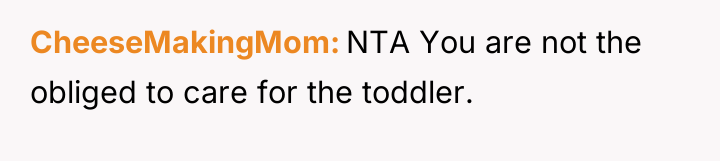 CheeseMakingMom NTA You are not the obliged to care for...