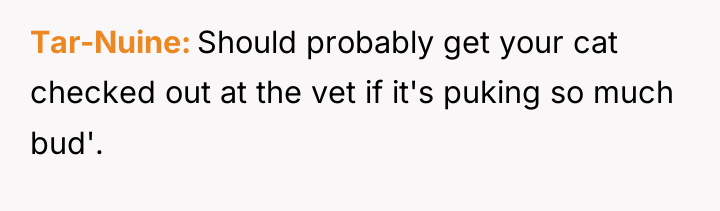 Tar-Nuine Should probably get your cat checked out at the...