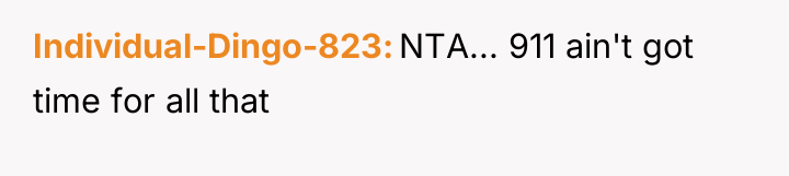 Individual-Dingo-823 NTA... 911 ain't got time for all that