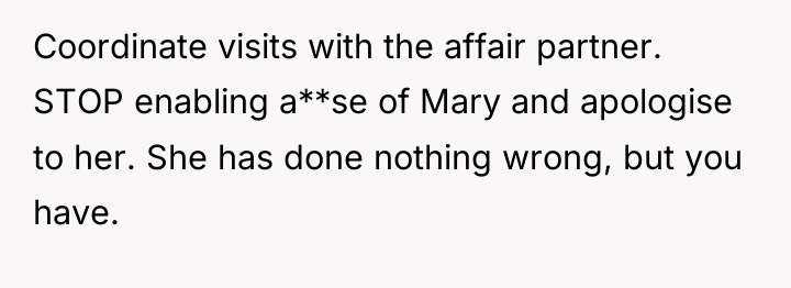 Coordinate visits with the affair partner. STOP enabling a**se of...