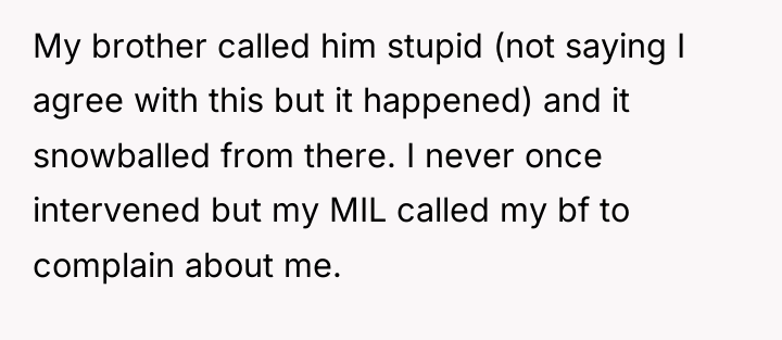 My brother called him stupid (not saying I agree with...