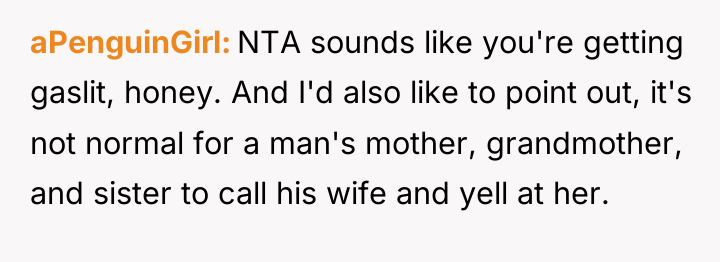 aPenguinGirl NTA sounds like you're getting gaslit, honey. And I'd...