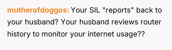 mutherofdoggos Your SIL "reports" back to your husband? Your husband...