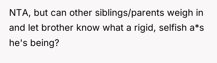 NTA, but can other siblings/parents weigh in and let brother...