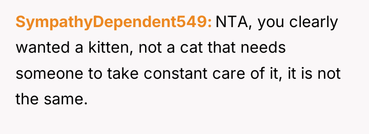 SympathyDependent549 NTA, you clearly wanted a kitten, not a cat...