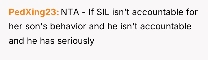 PedXing23 NTA - If SIL isn't accountable for her son's...