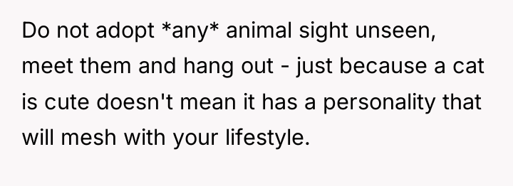 Do not adopt *any* animal sight unseen, meet them and...