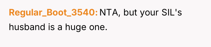 Regular_Boot_3540 NTA, but your SIL's husband is a huge one.