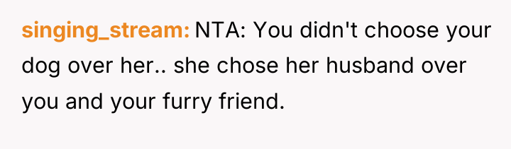 singing_stream NTA: You didn't choose your dog over her.. she...