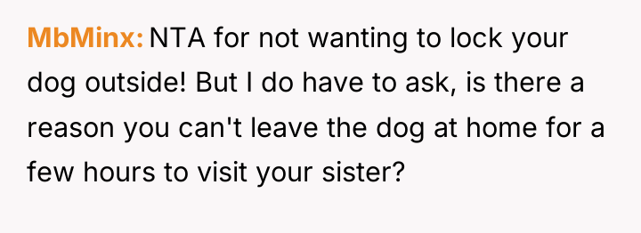 MbMinx NTA for not wanting to lock your dog outside!...